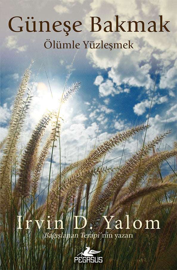 Güneşe Bakmak -Ölümle Yüzleşmek-