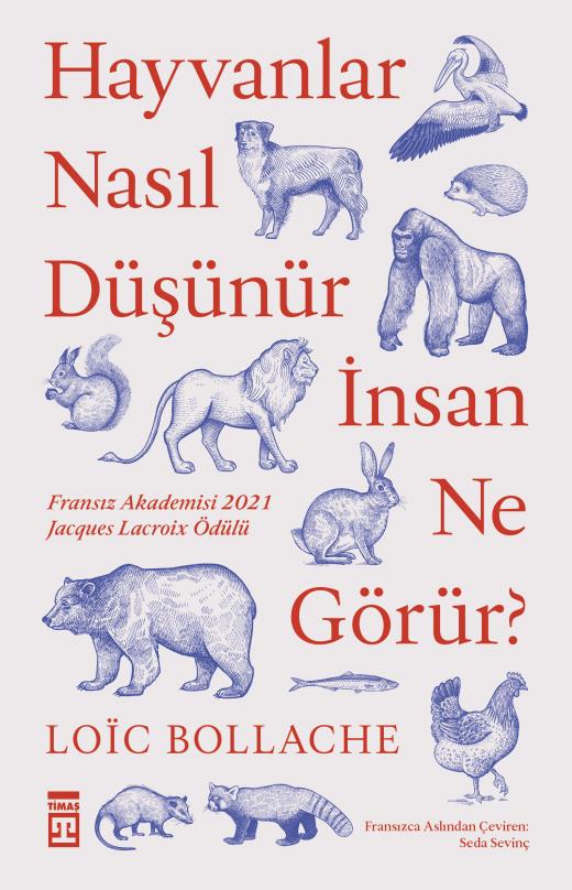 Hayvanlar Nasıl Düşünür, İnsanlar Ne Görür?