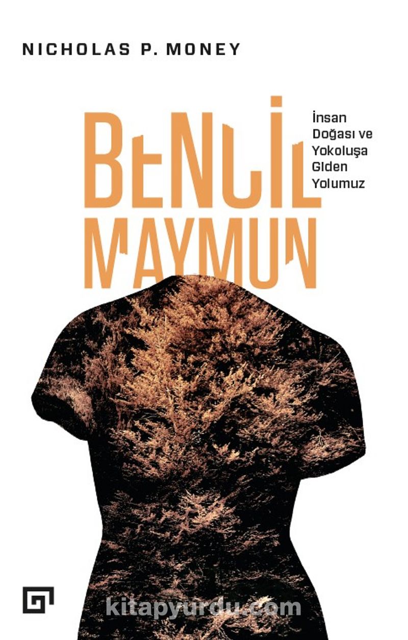 Bencil Maymun
