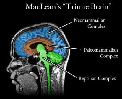 Üçlü Beyin -Triune Brain-