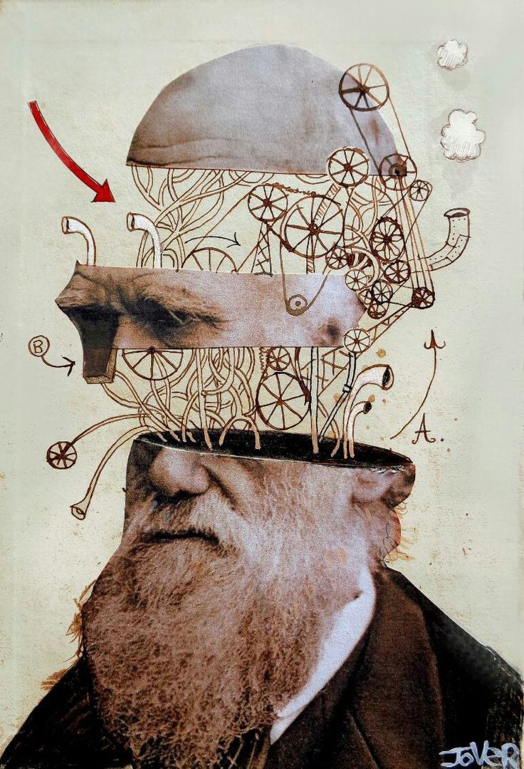 Darwin