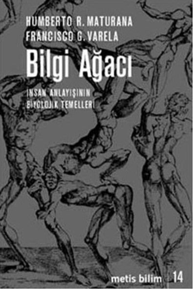 Bilgi Ağacı