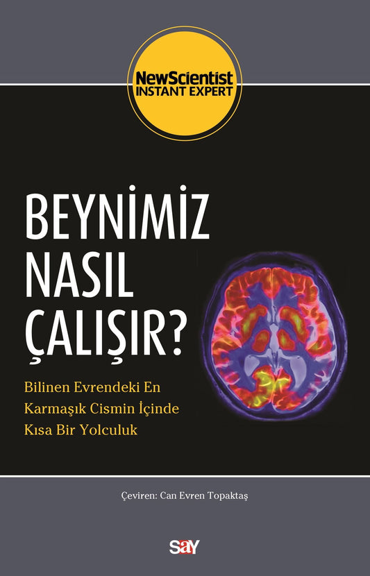 Beynimiz Nasıl Çalışır