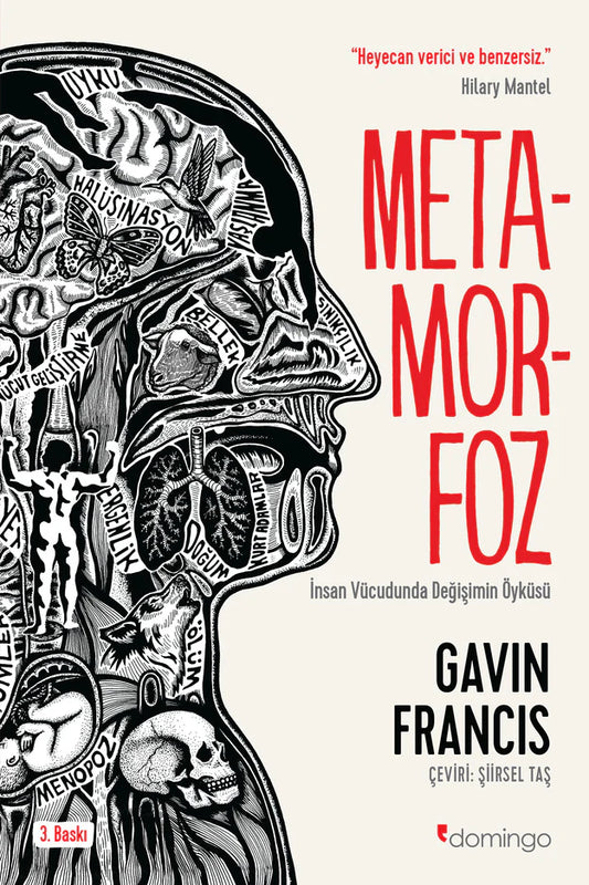 Metamorfoz