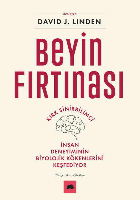 Beyin Fırtınası