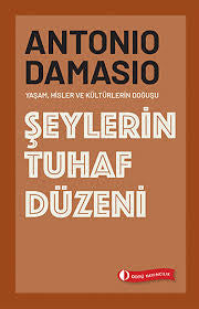 Şeylerin Tuhaf Düzeni