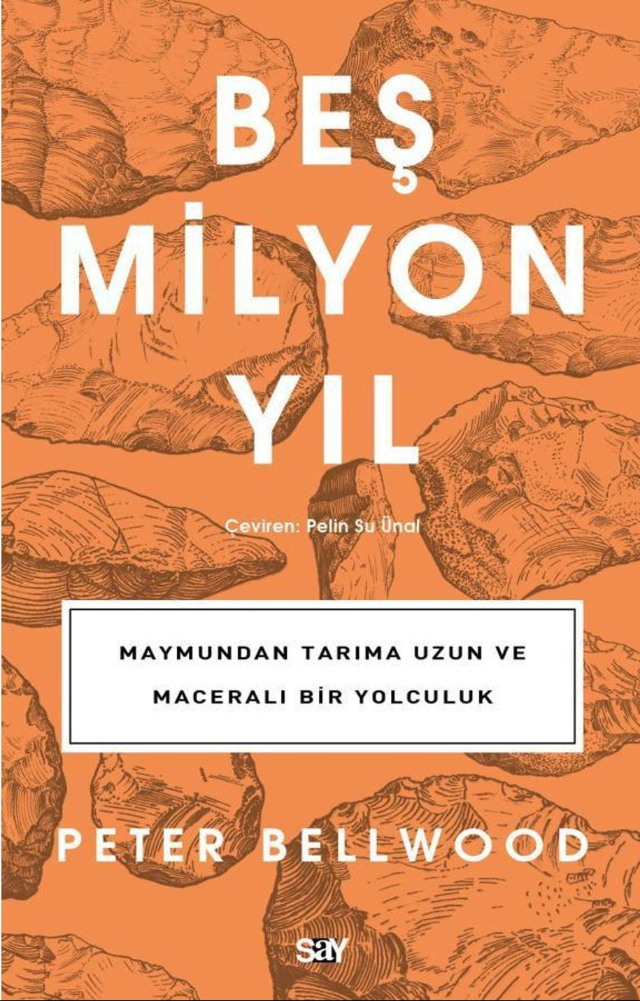 Beş Milyon Yıl
