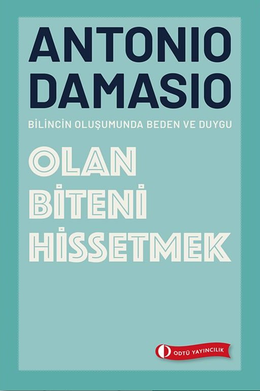 Olan Biteni Hissetmek