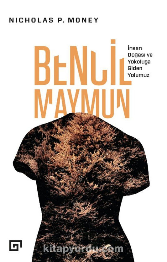 Bencil Maymun