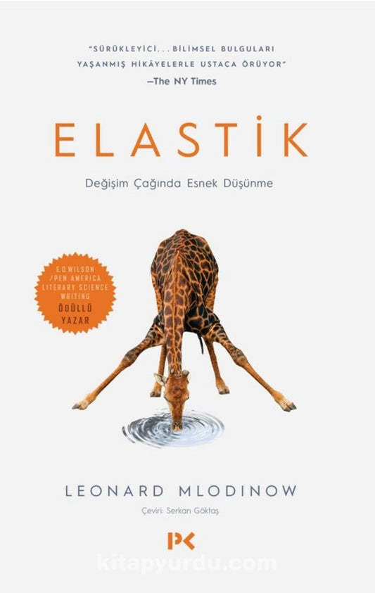Elastik -Değişim Çağında Esnek Düşünme-
